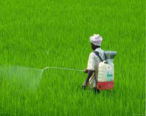 Agrochemical Manufacturer in Bangladesh