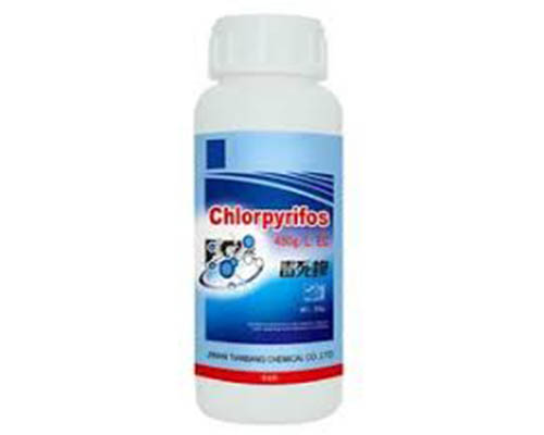 Chlorpyrifos Manufacturer in Umang