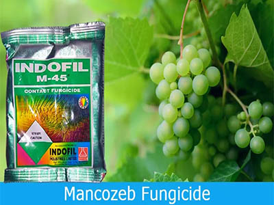 Mancozeb Manufacturer in Bangladesh