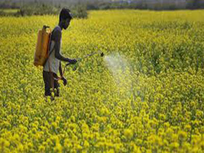 Pesticides Manufacturer in Uganda