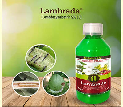 Lambyd Cyhalothrin Manufacturer in Umang